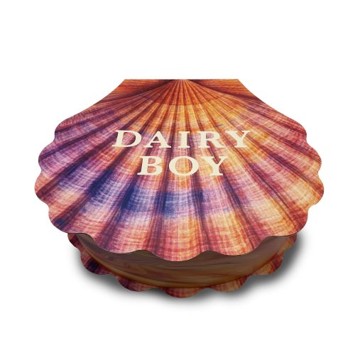 pr-box-images-flat-2000x_0018_dairy-boy-shell