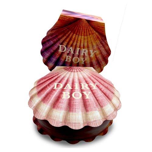 pr-box-images-flat-2000x_0019_dairy-boy-shells